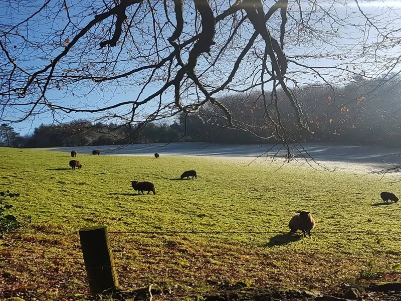 Tamar Trails